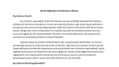Diş Hekimi Web Sitesi İçeriği