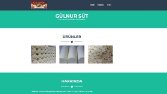 Bootstrap ile Web sitesi geliştirebilirim.
