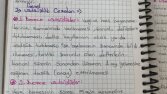 Ön muhasebe danışmanlığı