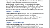 Seo Uyumlu Metin Yazarlığı