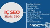 Profesyonel İç Seo Desteği