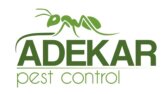 logo/kurumsal kimlik