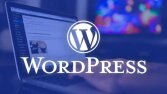Wordpress web sitelerinizi hızlıca teslim ediyoruz !
