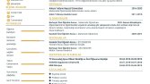 Göz Alıcı Cv Tasarımları 