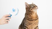 Kedi Tarağı ve Buz Kalıbı Ürün Çekimleri