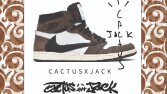 Travis Scott x Nike 