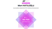 Freelance Mütercimlik