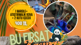 Nargile Salonu- Sosyal Medya Tasarımı