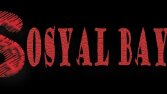 sosyalbayin.net logo çalışması
