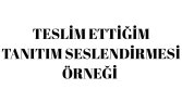 ÖRNEK SESLENDİRME