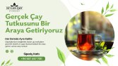 Banner Tasarımları