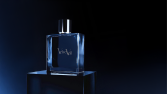 Velvet Veil – Zarif ve Modern Logo Tasarımı