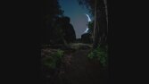 Gece Ormanda Yürüyüş - Unreal Engine 5