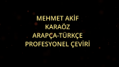 Profesyonel Çeviri Hizmetleri