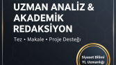YL Dereceli Akademik Metin Analiz ve Redaksiyon Örneği