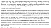 Seo ve LSI uyumlu içerikler