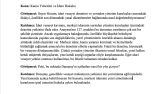 İdari Terminoloji İçeren Uzman Röportajı Deşifresi