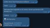 Telegram Mesaj Çekme Botu