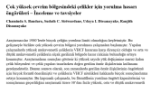 İngilizce - Türkçe teknik makale çevirisi