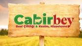 Logo Tasarımlarım