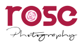 Rose photography