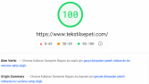 Websitesi Hızlandırma Hizmeti