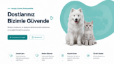 Bir veteriner kliniğine özel yapılan web sitemiz
