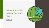 Professional Canva Presentation Design | Sunum Tasarımı