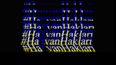 Kendi seslendirme ve edit ile Hayvan Hakları