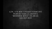 Siyasi partiler için içerik üretimi