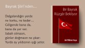 REKLAM,BELGESEL SES ÖRNEĞİDİR.