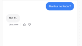 Guzellik Salonu AI Chatbotu