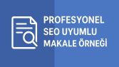 “Profesyonel SEO Uyumlu Makale Örneği”