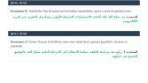 Arapça-Türkçe Profesyonel Çeviri ve Deşifre Hizmeti