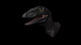 3D Raptor (High Poly)
