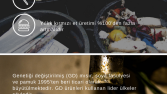 küresel durum banner/reklam