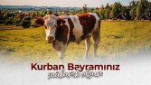 Kurban Bayramı