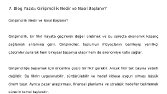Girişimcilik...