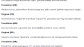 Website Content Translate Sample