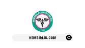 Hembirlik - Organizasyon Web Dönüşümü