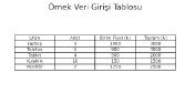 Ürün ve Veri Girişi Çalışmaları