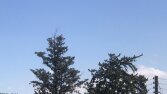 Farkındalık