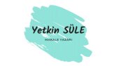 SEO UYUMLU MAKALE YAZARI