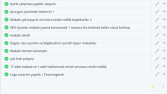Çeviri Hizmeti Referansı