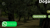 Wordpess WhatsApp ve Canlı Destek Ekleme