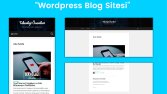Wordpress Blog Temalı Websitesi