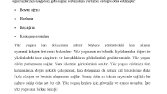 Yüz Yogası- Blog