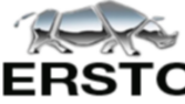 güzel bir logo yapabilirim