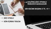 Seo Uyumlu İngilizce Makale Gün İçinde Teslim Garantili 