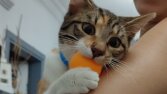 Dijital ortamda fotoğraf çizimi
